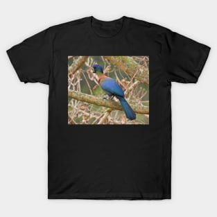 Purple-crested Turaco T-Shirt